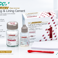 سمان گلاس آینومر GC