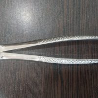 فورسپس اسکولاپ