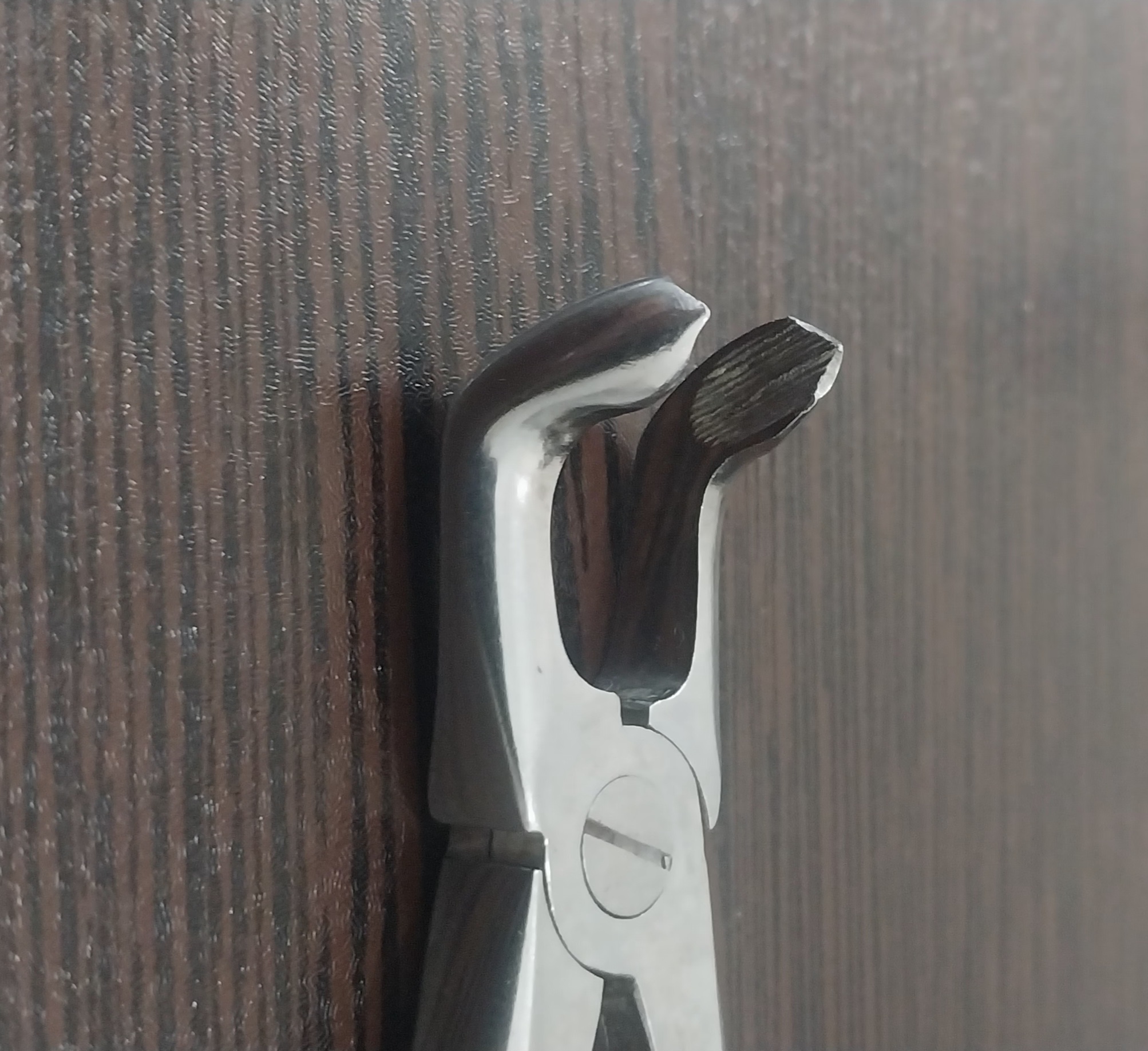 فورسپس اسکولاپ - Image 3