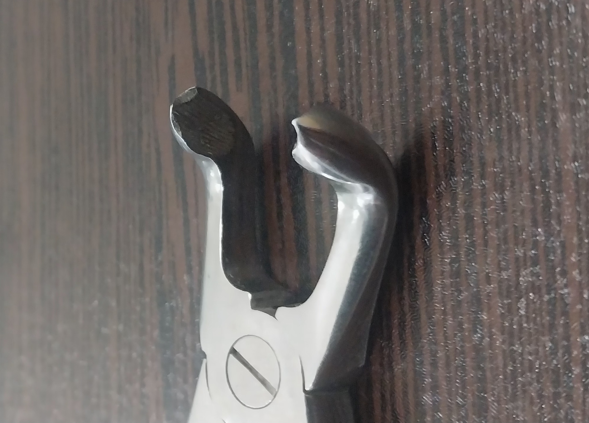 فورسپس اسکولاپ - Image 4